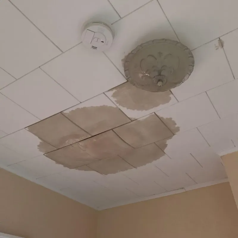 Ceiling Water Damage Repair in Eastover, NC